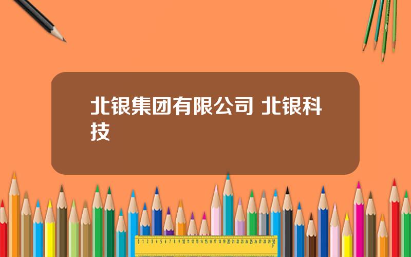 北银集团有限公司 北银科技